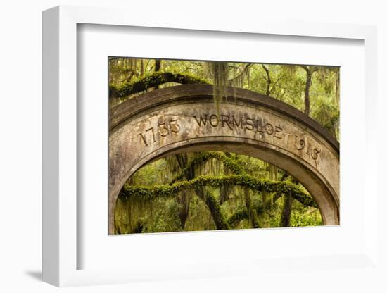 USA, Georgia, Savannah, Entrance to Wormsloe Plantation.-Joanne Wells-Framed Photographic Print