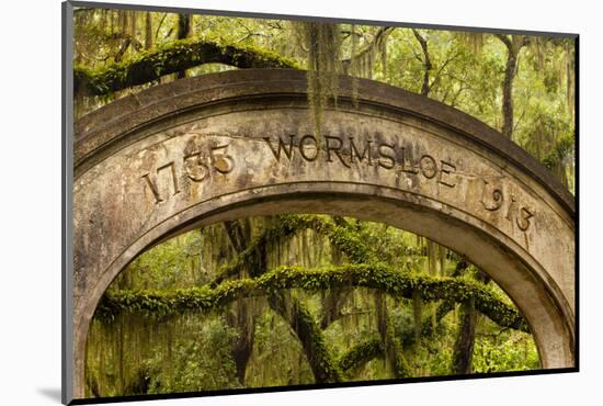 USA, Georgia, Savannah, Entrance to Wormsloe Plantation.-Joanne Wells-Mounted Photographic Print