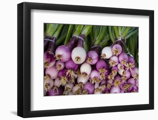 Usa, Georgia, Savannah, Fresh onions at Forsyth Market in downtown Savannah.-Joanne Wells-Framed Photographic Print