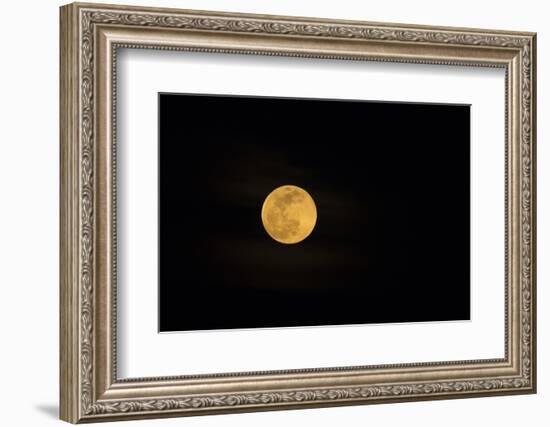 USA, Georgia, Savannah. Full moon rising-Joanne Wells-Framed Photographic Print