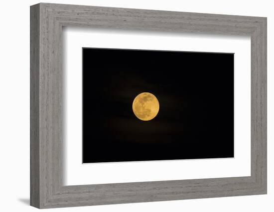 USA, Georgia, Savannah. Full moon rising-Joanne Wells-Framed Photographic Print