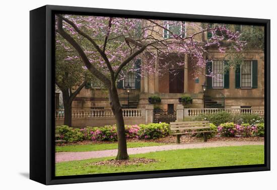 USA, Georgia, Savannah, Historic Owens Thomas House in the Spring-Joanne Wells-Framed Premier Image Canvas