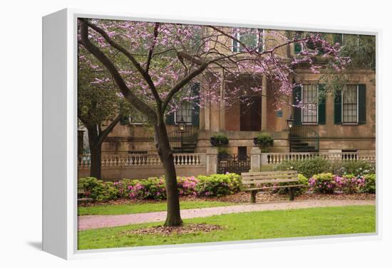 USA, Georgia, Savannah, Historic Owens Thomas House in the Spring-Joanne Wells-Framed Premier Image Canvas