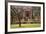 USA, Georgia, Savannah, Historic Owens Thomas House in the Spring-Joanne Wells-Framed Photographic Print