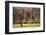 USA, Georgia, Savannah, Historic Owens Thomas House in the Spring-Joanne Wells-Framed Photographic Print