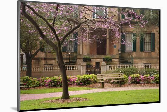 USA, Georgia, Savannah, Historic Owens Thomas House in the Spring-Joanne Wells-Mounted Photographic Print