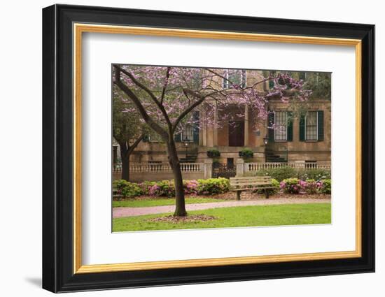 USA, Georgia, Savannah, Historic Owens Thomas House in the Spring-Joanne Wells-Framed Photographic Print