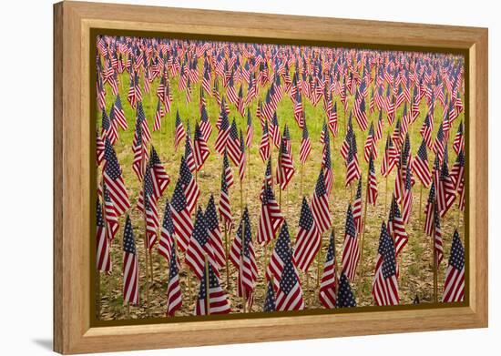 USA, Georgia, Savannah. Memorial Day celebration with American flag.-Joanne Wells-Framed Premier Image Canvas