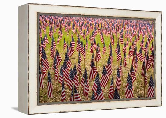 USA, Georgia, Savannah. Memorial Day celebration with American flag.-Joanne Wells-Framed Premier Image Canvas