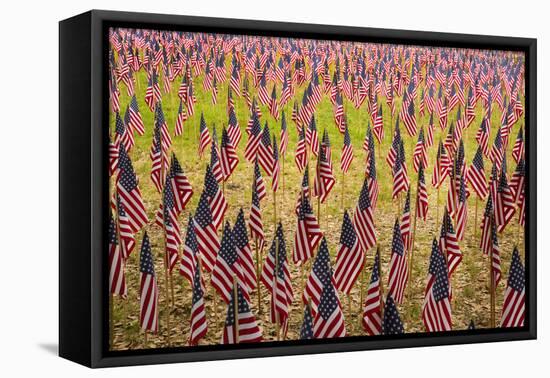 USA, Georgia, Savannah. Memorial Day celebration with American flag.-Joanne Wells-Framed Premier Image Canvas