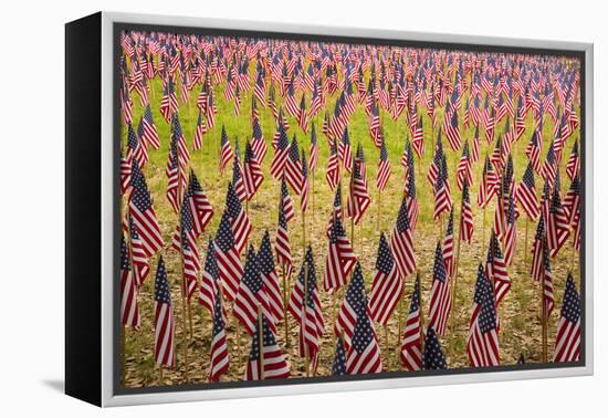 USA, Georgia, Savannah. Memorial Day celebration with American flag.-Joanne Wells-Framed Premier Image Canvas