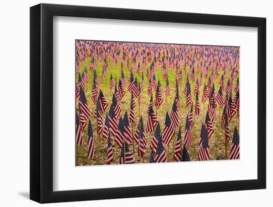 USA, Georgia, Savannah. Memorial Day celebration with American flag.-Joanne Wells-Framed Photographic Print