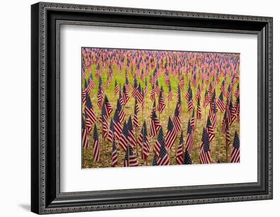 USA, Georgia, Savannah. Memorial Day celebration with American flag.-Joanne Wells-Framed Photographic Print