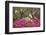 USA, Georgia, Savannah. Oak trees and azaleas at Bonaventure Cemetery in the spring-Joanne Wells-Framed Photographic Print