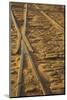 USA, Georgia, Savannah. Old railroad tracks along ballast stones at River Street.-Joanne Wells-Mounted Photographic Print