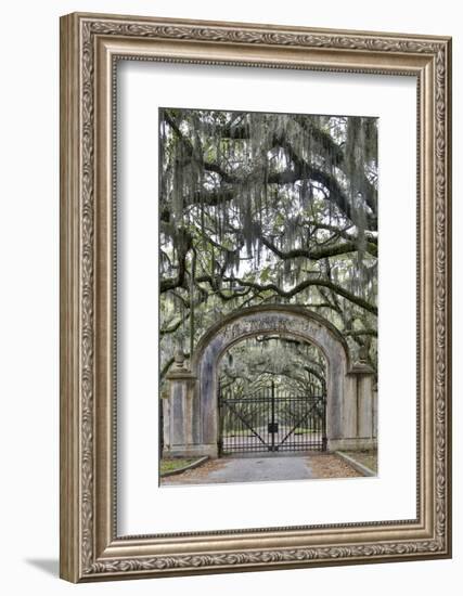 USA, Georgia, Savannah. Plantation gate at entrance-Hollice Looney-Framed Photographic Print