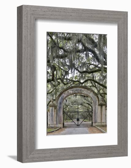 USA, Georgia, Savannah. Plantation gate at entrance-Hollice Looney-Framed Photographic Print