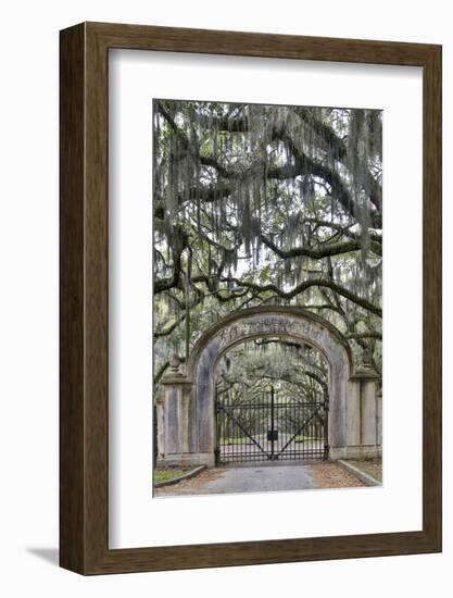 USA, Georgia, Savannah. Plantation gate at entrance-Hollice Looney-Framed Photographic Print