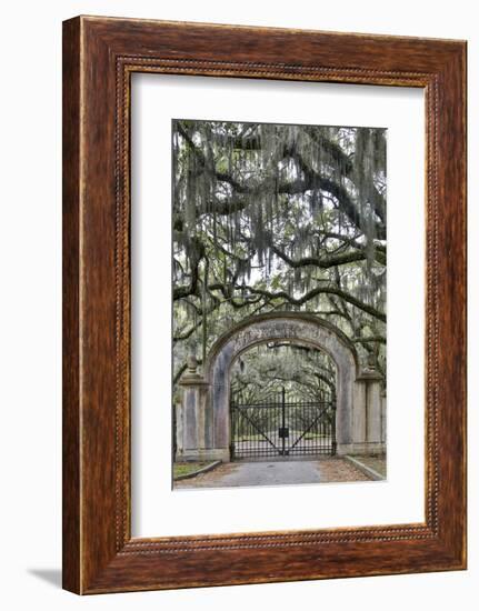 USA, Georgia, Savannah. Plantation gate at entrance-Hollice Looney-Framed Photographic Print