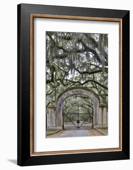 USA, Georgia, Savannah. Plantation gate at entrance-Hollice Looney-Framed Photographic Print