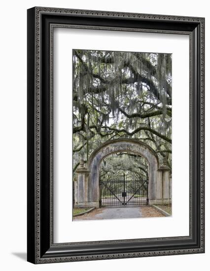 USA, Georgia, Savannah. Plantation gate at entrance-Hollice Looney-Framed Photographic Print