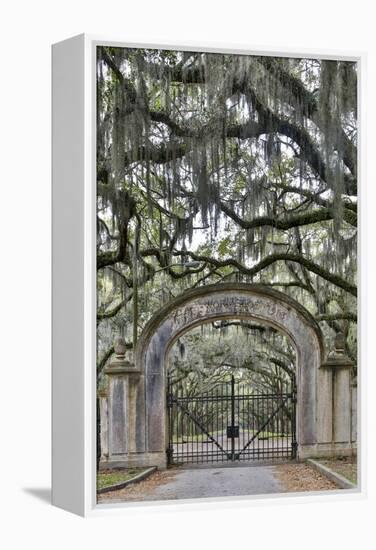 USA, Georgia, Savannah. Plantation gate at entrance-Hollice Looney-Framed Premier Image Canvas