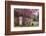 USA, Georgia, Savannah, Red Bud Tree in Colonial Park Cemetery-Joanne Wells-Framed Photographic Print