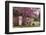 USA, Georgia, Savannah, Red Bud Tree in Colonial Park Cemetery-Joanne Wells-Framed Photographic Print