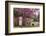 USA, Georgia, Savannah, Red Bud Tree in Colonial Park Cemetery-Joanne Wells-Framed Photographic Print