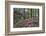 USA, Georgia, Sunburst and Azaleas-Hollice Looney-Framed Photographic Print