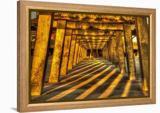 USA, Georgia, Tybee Island. Tybee Pier with shadows at sunrise.-Joanne Wells-Framed Premier Image Canvas