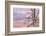 USA, Grand Canyon National Park, Dead Tree-Catharina Lux-Framed Photographic Print