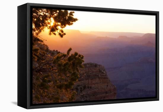 USA, Grand Canyon National Park, Evening Light-Catharina Lux-Framed Premier Image Canvas