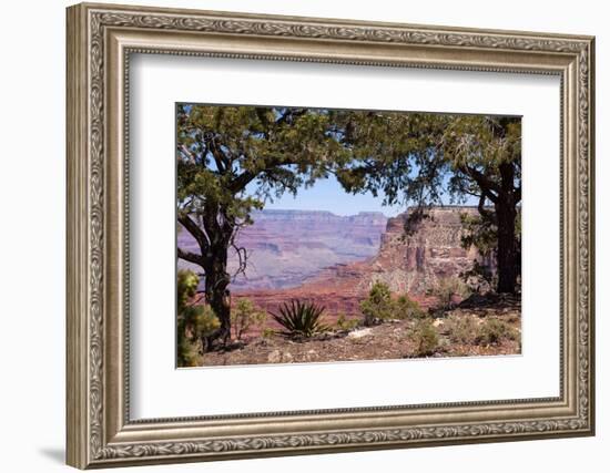 USA, Grand Canyon National Park, South Rim-Catharina Lux-Framed Photographic Print