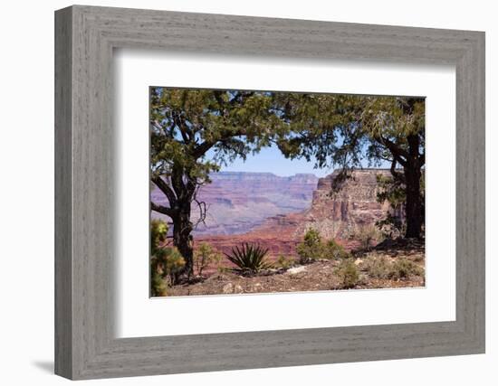 USA, Grand Canyon National Park, South Rim-Catharina Lux-Framed Photographic Print