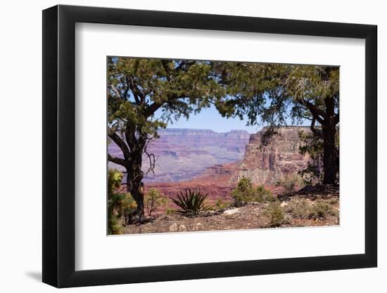 USA, Grand Canyon National Park, South Rim-Catharina Lux-Framed Photographic Print