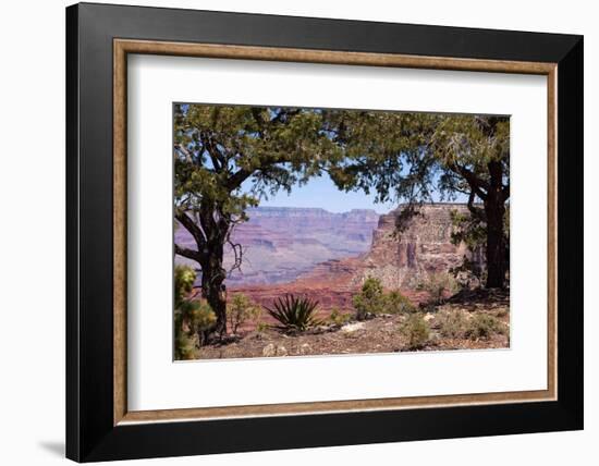 USA, Grand Canyon National Park, South Rim-Catharina Lux-Framed Photographic Print