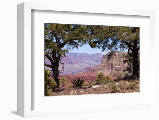 USA, Grand Canyon National Park, South Rim-Catharina Lux-Framed Photographic Print