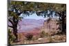 USA, Grand Canyon National Park, South Rim-Catharina Lux-Mounted Photographic Print