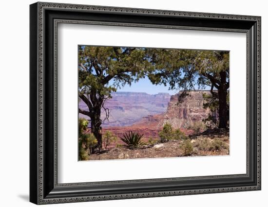 USA, Grand Canyon National Park, South Rim-Catharina Lux-Framed Photographic Print