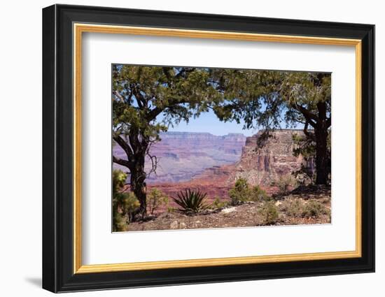 USA, Grand Canyon National Park, South Rim-Catharina Lux-Framed Photographic Print