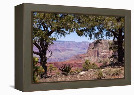 USA, Grand Canyon National Park, South Rim-Catharina Lux-Framed Premier Image Canvas