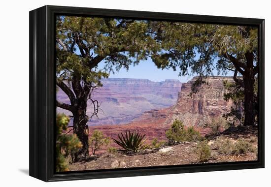 USA, Grand Canyon National Park, South Rim-Catharina Lux-Framed Premier Image Canvas