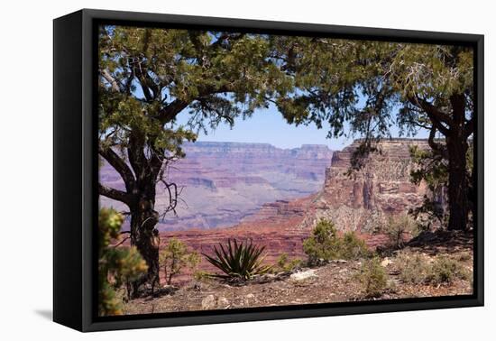 USA, Grand Canyon National Park, South Rim-Catharina Lux-Framed Premier Image Canvas