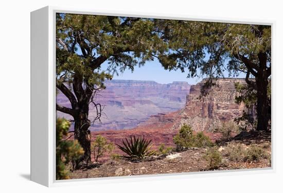 USA, Grand Canyon National Park, South Rim-Catharina Lux-Framed Premier Image Canvas