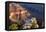 USA, Grand Canyon National Park, Sunrise, Man on Rock Ledge-Catharina Lux-Framed Premier Image Canvas