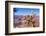 USA, Grand Canyon National Park, Thistle-Catharina Lux-Framed Photographic Print