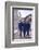 Usa Gymnasts Sharon Richardson, Doris Fuchs, and Muriel Davis-Grossfeld, 1960 Rome Olympic Games-George Silk-Framed Photographic Print