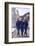 Usa Gymnasts Sharon Richardson, Doris Fuchs, and Muriel Davis-Grossfeld, 1960 Rome Olympic Games-George Silk-Framed Photographic Print