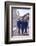 Usa Gymnasts Sharon Richardson, Doris Fuchs, and Muriel Davis-Grossfeld, 1960 Rome Olympic Games-George Silk-Framed Photographic Print